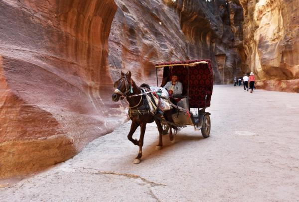 Первое королевство: путешествие в загадочную Иорданию (ФОТО)