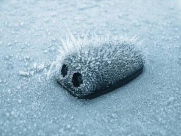 Волшебные зимние фотографии со всего мира (ФОТО)