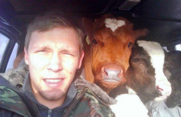15 снимков, которые поднимут ваше настроение с колен (ФОТО)