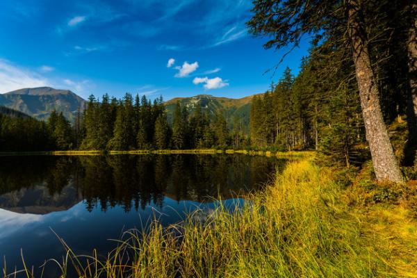 Горное зазеркалье: потрясающий проект фотографа из Польши (ФОТО)