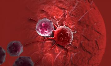 Ученые научили человеческие клетки самостоятельно уничтожать рак