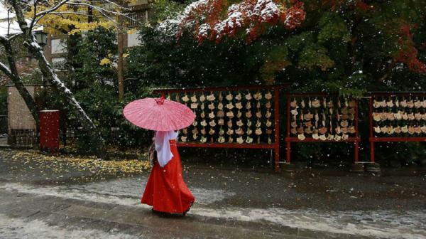 В Токио впервые с 1954 года выпал снег в ноябре (ФОТО)