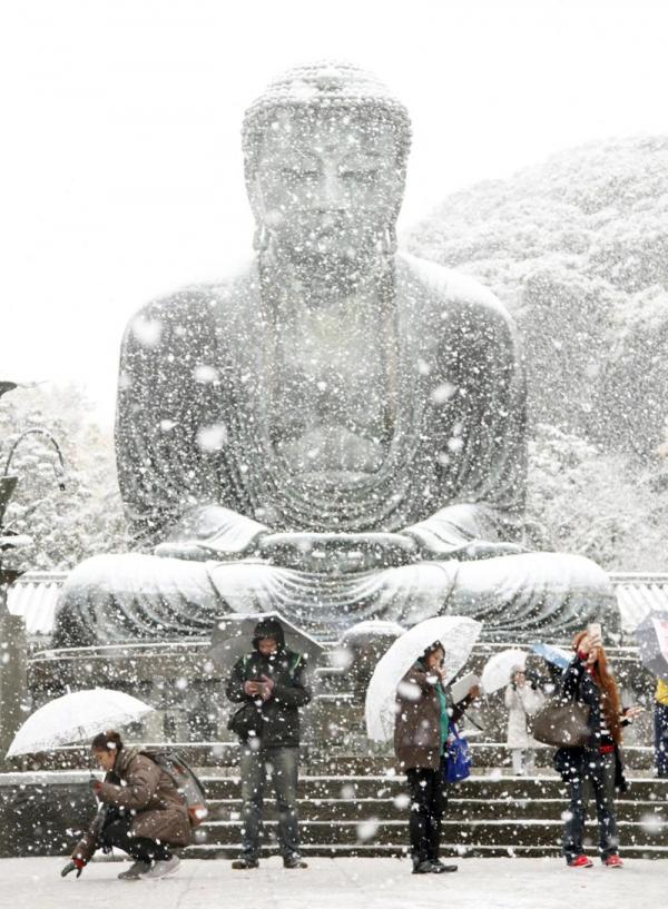 В Токио впервые с 1954 года выпал снег в ноябре (ФОТО)