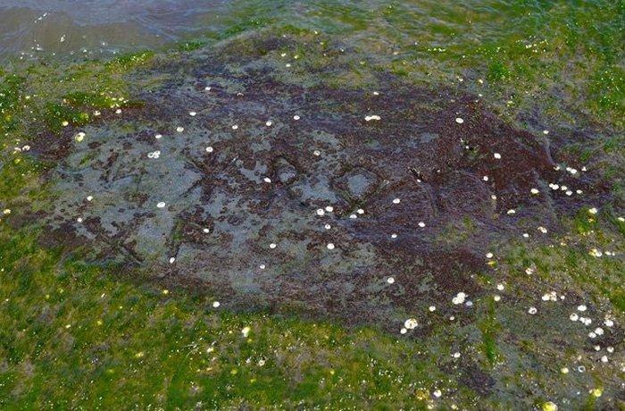 10 древних рун, которые до сих пор ставят учёных в тупик (ФОТО)