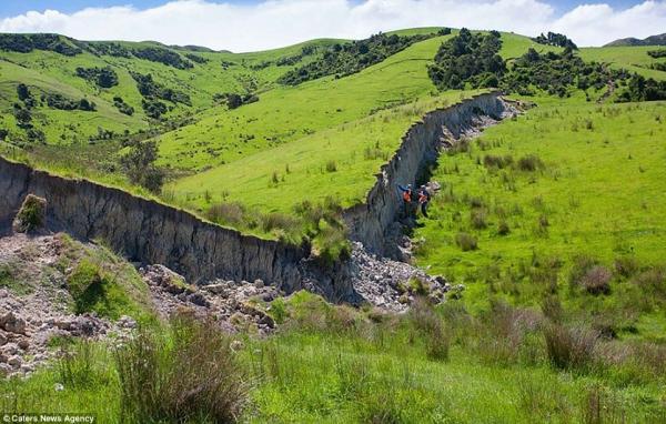 В результате землетрясения в Новой Зеландии образовались стены высотой 5 метров (ФОТО)