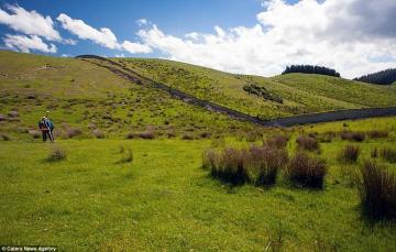 В результате землетрясения в Новой Зеландии образовались стены высотой 5 метров (ФОТО)