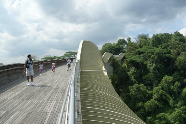Мост, соединяющий живописные парки: эффектное сооружение в центре Сингапура (ФОТО)