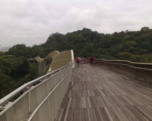 Мост, соединяющий живописные парки: эффектное сооружение в центре Сингапура (ФОТО)