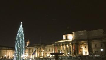 Жители Лондона назвали рождественскую елку на Трафальгарской площади «огурцом в гирляндах»