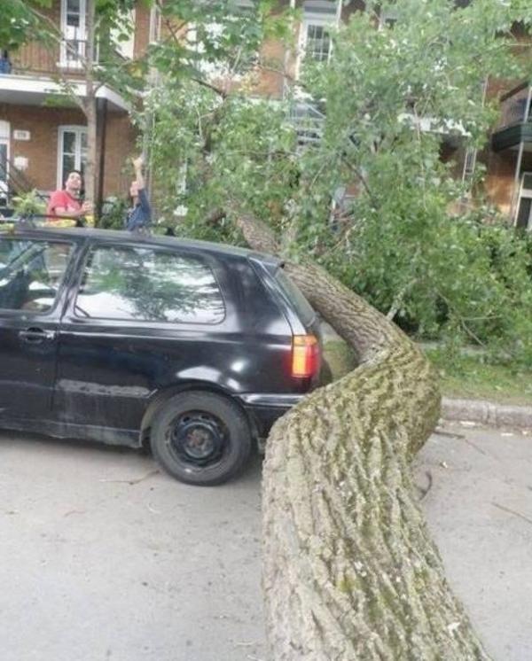 15 примеров настоящего везения (ФОТО)