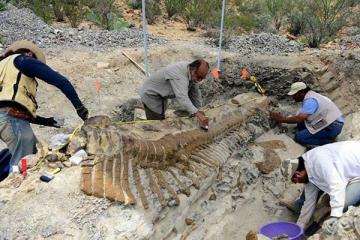 Британские ученые обнаружили останки первых сухопутных животных