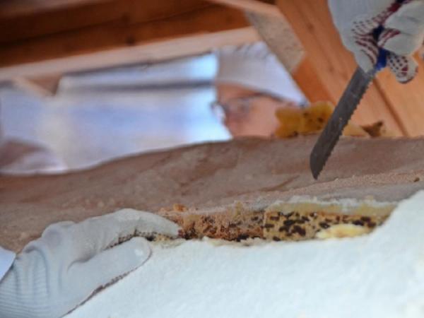 Праздничное угощение: в Германии испекли самый большой рождественский кекс в мире (ФОТО)