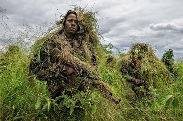 50 лучших снимков года по версии журнала National Geographic (ФОТО)