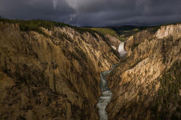 50 лучших снимков года по версии журнала National Geographic (ФОТО)