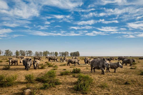 50 лучших снимков года по версии журнала National Geographic (ФОТО)