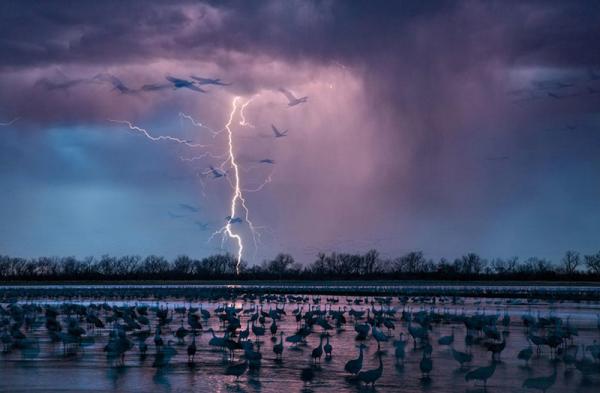 50 лучших снимков года по версии журнала National Geographic (ФОТО)