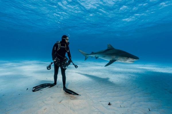 50 лучших снимков года по версии журнала National Geographic (ФОТО)