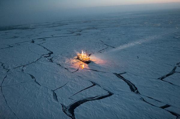 50 лучших снимков года по версии журнала National Geographic (ФОТО)