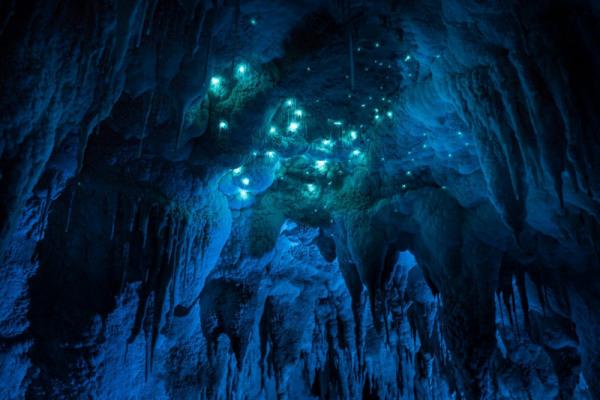 Светящееся подземелье: уникальная пещера, которой более 30 миллионов лет (ФОТО)