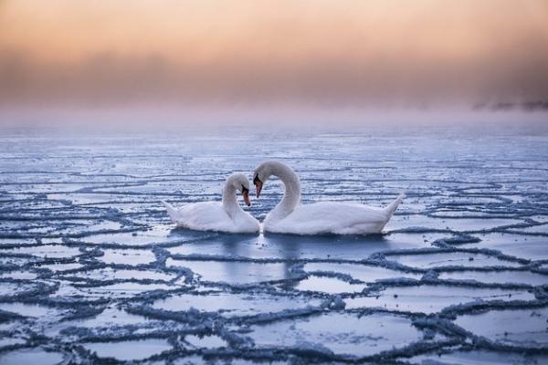 Потрясающие пейзажи и политическая тематика: самые популярные фотографии 2016 года (ФОТО)