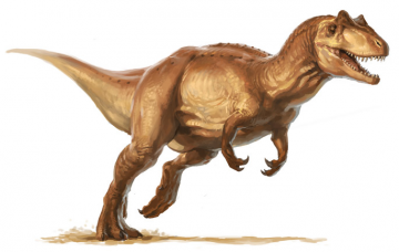 Скелет динозавра продали на аукционе (ФОТО)