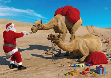 В этом году Санта-Клаус будет доставлять подарки на верблюдах