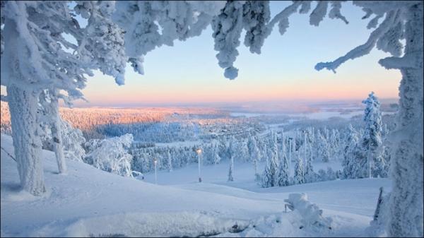 Сказочная красота зимней Лапландии (ФОТО)