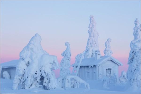 Сказочная красота зимней Лапландии (ФОТО)