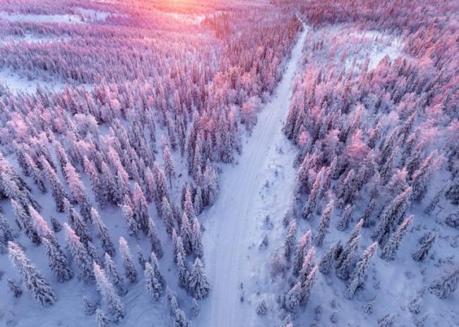 18 доказательств того, что Лапландия – это самое волшебное место в мире (ФОТО)
