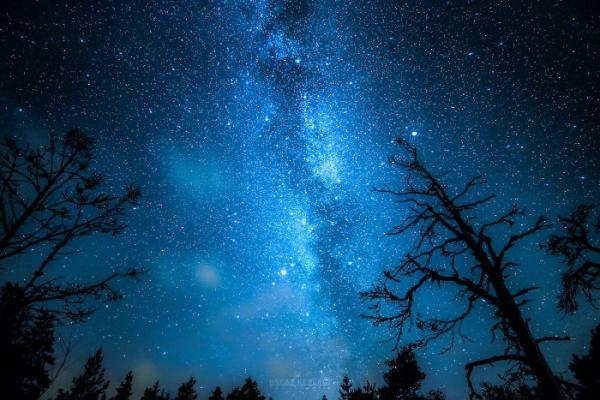 “Синяя ночь”: завораживающий фотопроект мастера из Финляндии (ФОТО) 