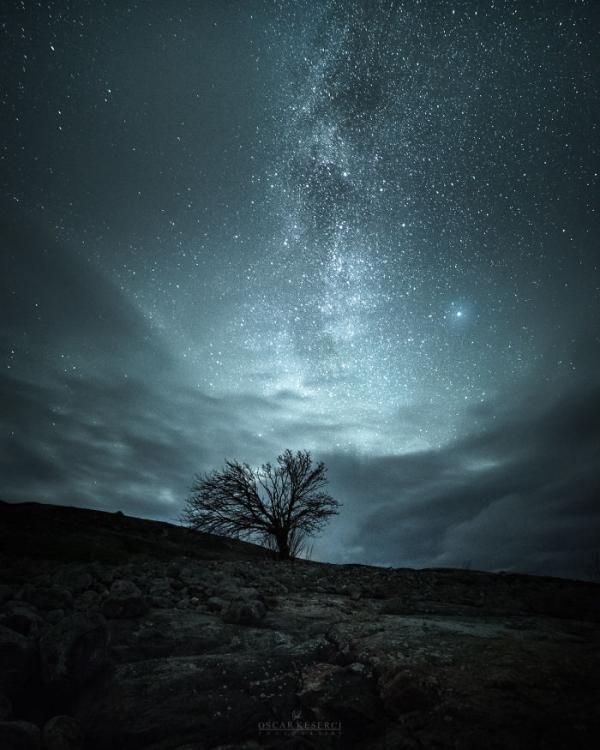 “Синяя ночь”: завораживающий фотопроект мастера из Финляндии (ФОТО) 
