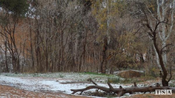 Природная аномалия: в одном из самых засушливых мест на планете выпал снег (ФОТО) Природная аномалия: в одном из самых засушливых мест на планете выпал снег (ФОТО)