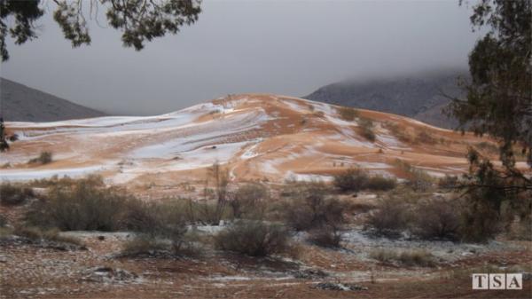 Природная аномалия: в одном из самых засушливых мест на планете выпал снег (ФОТО) Природная аномалия: в одном из самых засушливых мест на планете выпал снег (ФОТО)