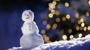 Ученым удалось слепить самого мелкого в мире «снеговика» (ФОТО)