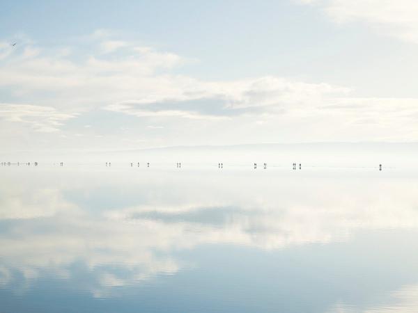 От Нью-Йорка до Китая: лучшие фото 2016 года, демонстрирующие красоту нашей планеты (ФОТО)