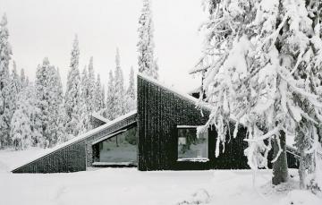 Дом в заснеженном лесу: нестандартное жилище с эффектным фасадом (ФОТО)
