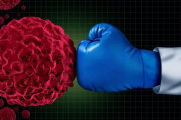 Учёные нашли способ борьбы с раком с помощью иммунной системы