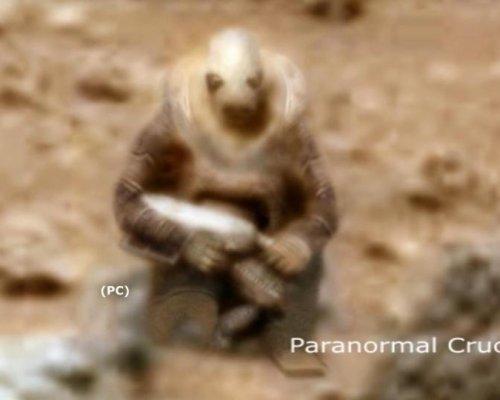 Ученые показали фото, как инопланетянин охотится за марсоходом (ФОТО)