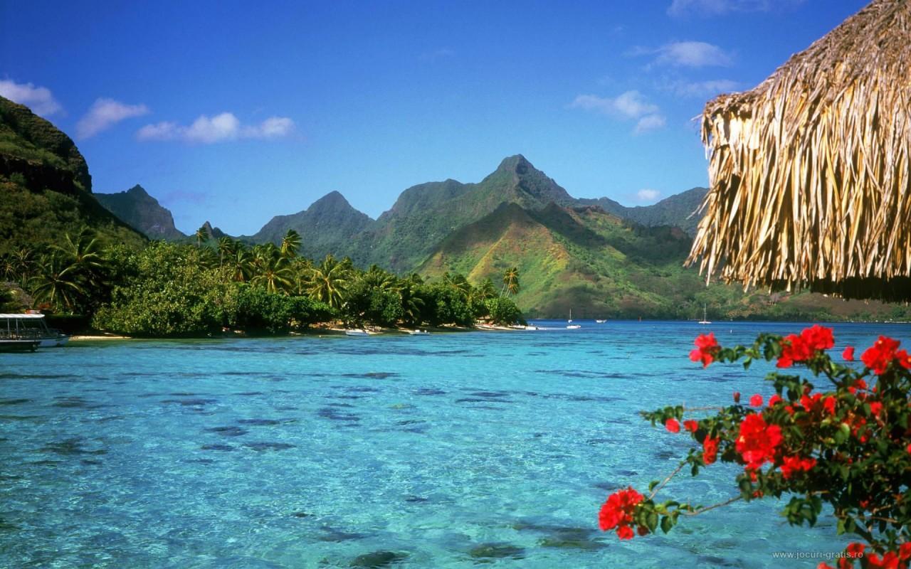 Багамские острова - Рай в Атлантическом океане (ФОТО)