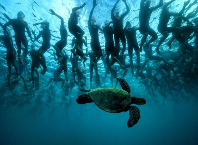 Самые интересные снимки животных 2016 года (ФОТО)