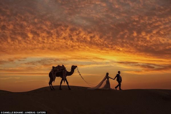 Невероятные мгновения счастья: лучшие свадебные фото прошедшего года (ФОТО)