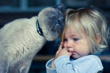 Кошки и дети: семейная идиллия лучших друзей (ФОТО)