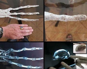В Перу учёные нашли руку неизвестного существа 