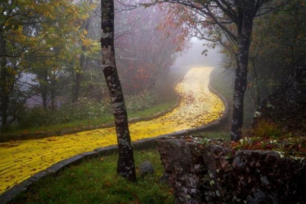 Позабытая сказка: заброшенный парк развлечений в Северной Каролине (ФОТО)