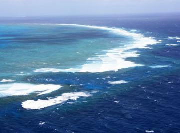 Красивая достопримечательность Австралии: самый большой коралловый риф в мире  (ФОТО)