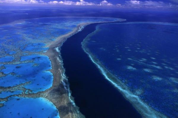 Красивая достопримечательность Австралии: самый большой коралловый риф в мире  (ФОТО)