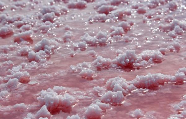 Розовая вода украинского Мертвого моря (ФОТО)
