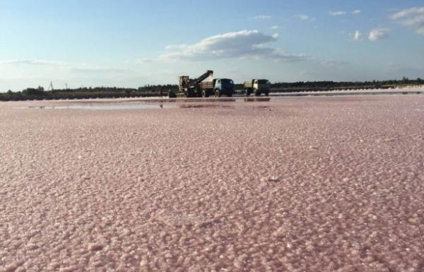 Розовая вода украинского Мертвого моря (ФОТО)