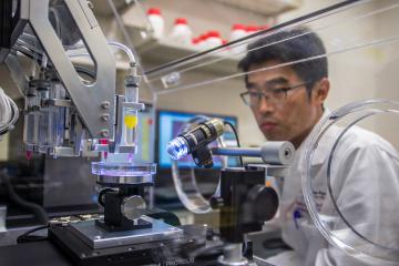 С помощью 3D-принтеров можно создать биоробота