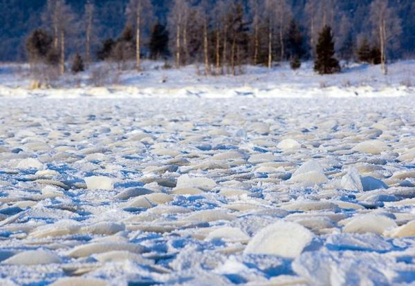 Онежское озеро покрылось необычным льдом (ФОТО)